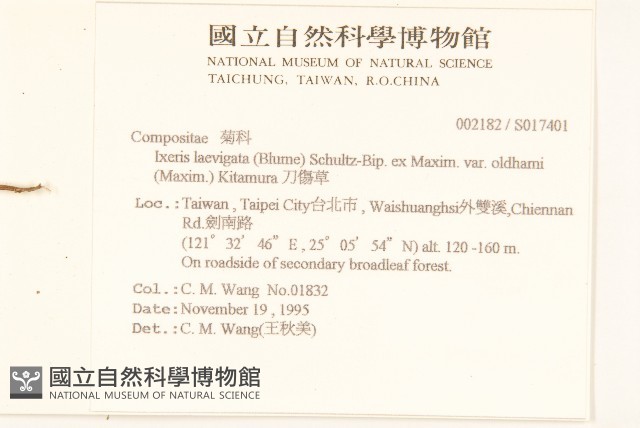 刀傷草藏品圖，第2張