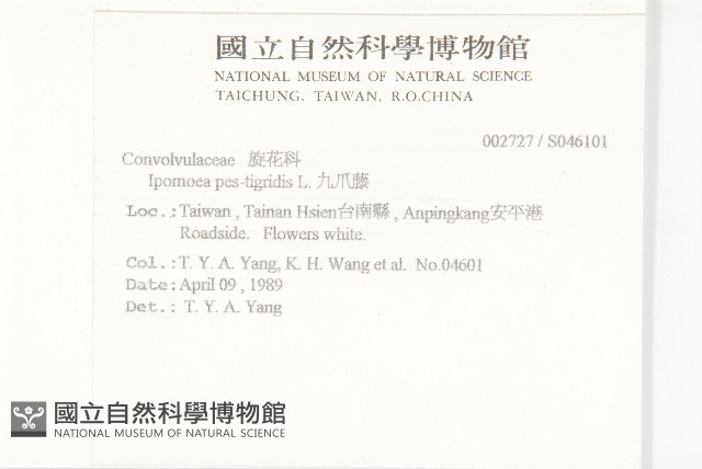 九爪藤藏品圖，第2張