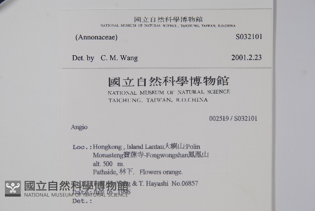 登錄號:S032101藏品圖，第2張