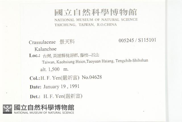 登錄號:S115101藏品圖，第2張