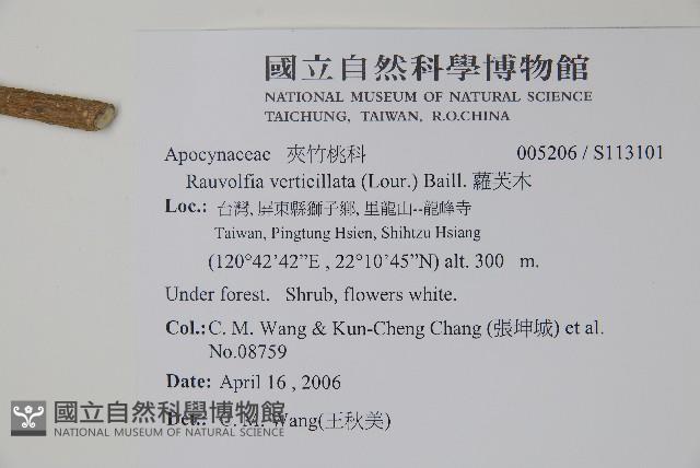 蘿芙木藏品圖，第2張