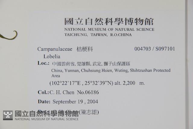 登錄號:S097101藏品圖，第2張