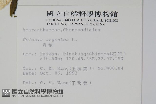 青葙藏品圖，第2張