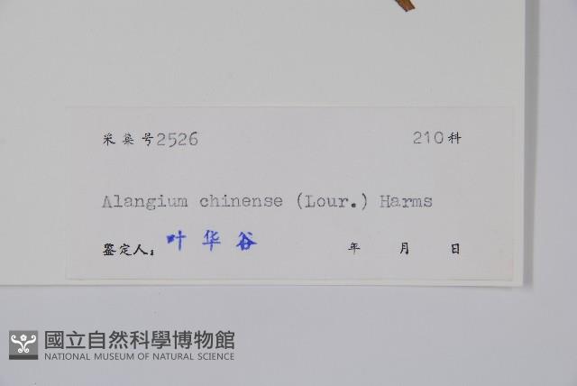 八角楓藏品圖，第2張