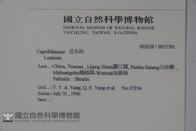 登錄號:S037301藏品圖，第2張