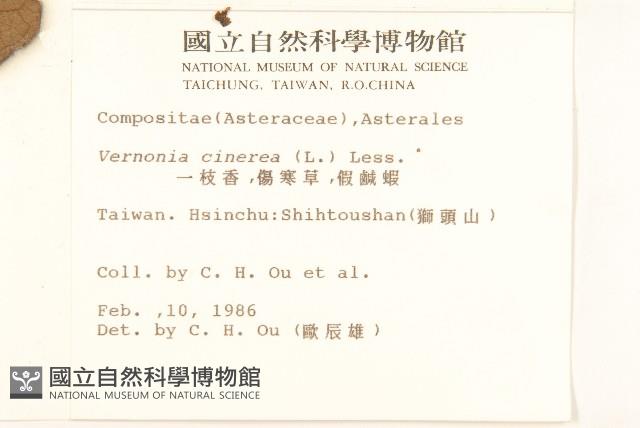 一枝香藏品圖，第2張