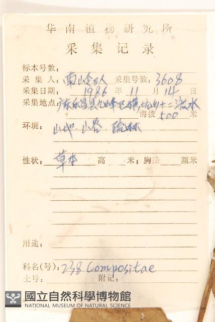 華麻花頭藏品圖，第2張