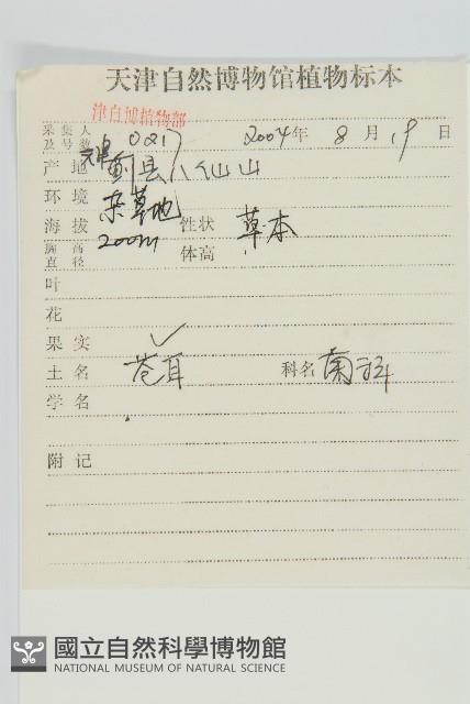 蒼耳藏品圖，第2張