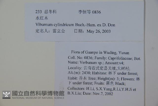 水紅木藏品圖，第2張