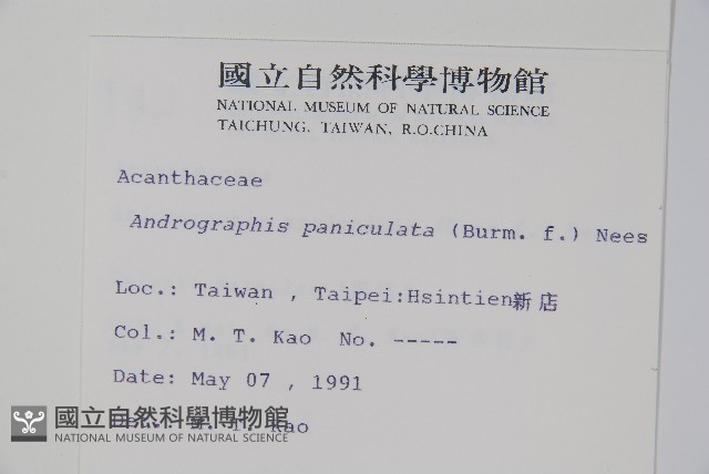 穿心蓮藏品圖，第2張