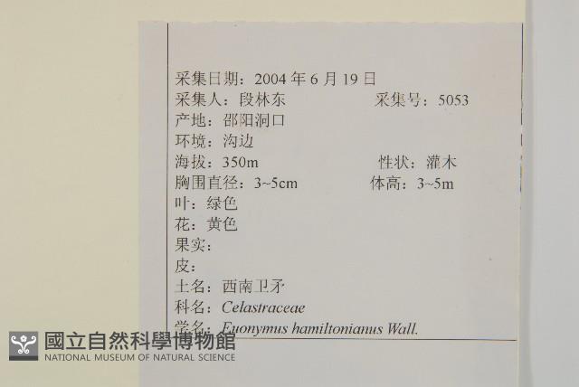 西南衛矛藏品圖，第2張