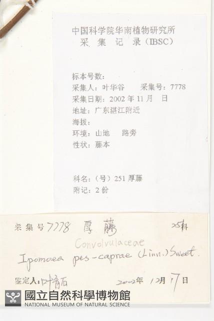 登錄號:S101501藏品圖，第2張