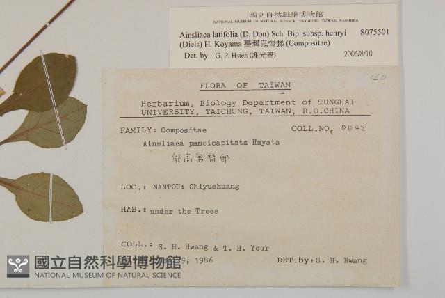 臺灣鬼督郵藏品圖，第2張