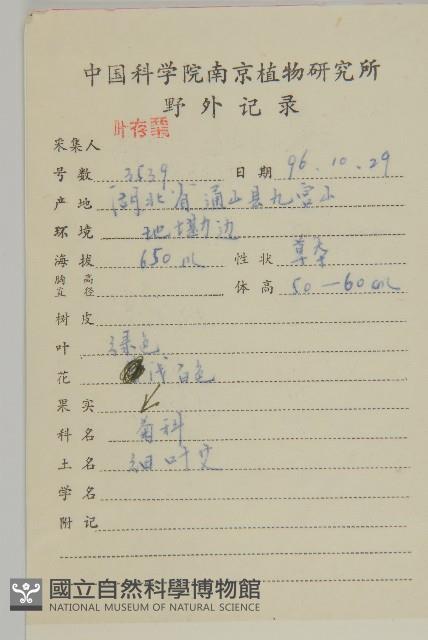 艾蒿藏品圖，第2張