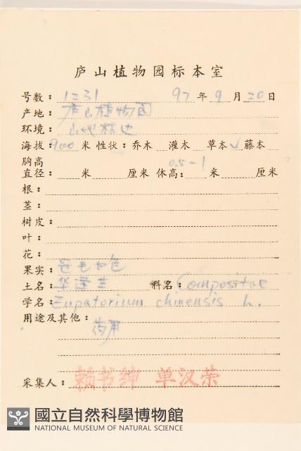 華澤蘭藏品圖，第2張