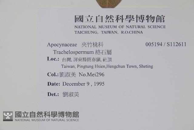 登錄號:S112611藏品圖，第2張