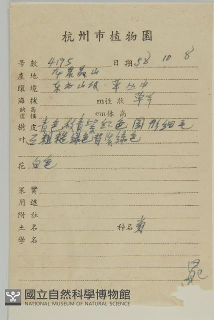 山白蘭藏品圖，第2張