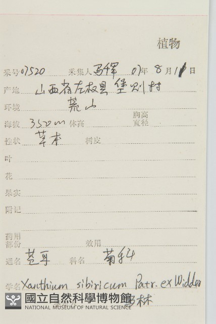 蒼耳藏品圖，第2張
