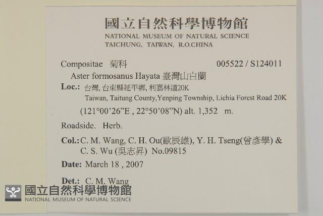 臺灣山白蘭藏品圖，第2張