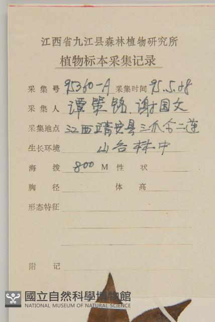 扶芳藤藏品圖，第2張