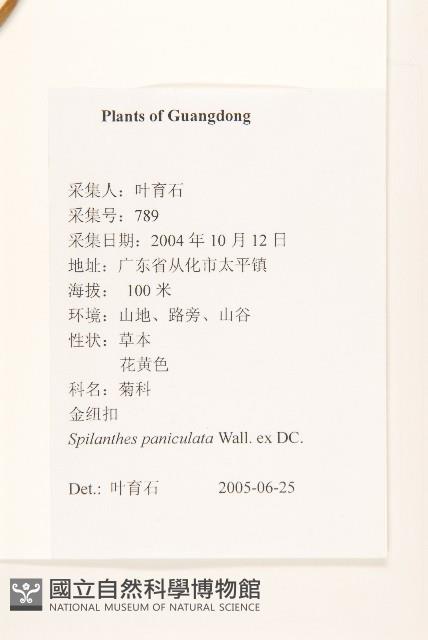 金鈕釦藏品圖，第2張