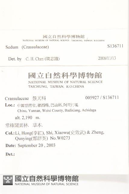 登錄號:S136711藏品圖，第2張