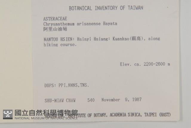 阿里山油菊藏品圖，第2張