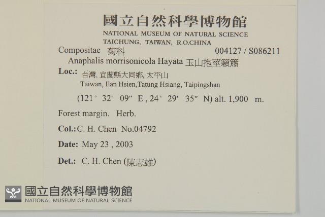 玉山抱莖籟簫藏品圖，第2張