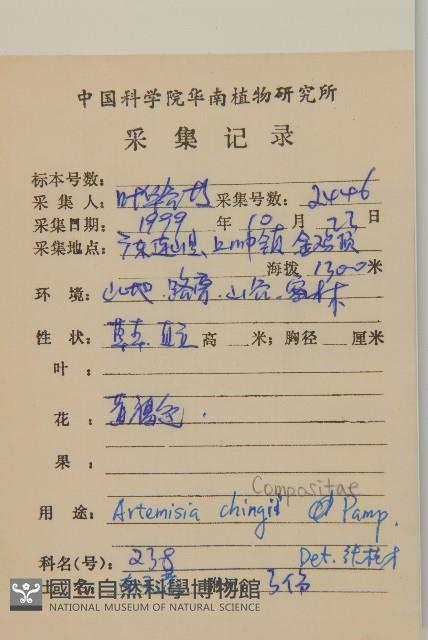 南毛蒿藏品圖，第2張