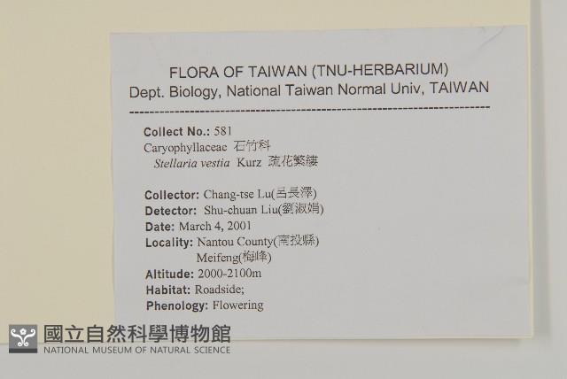 疏花繁縷藏品圖，第2張