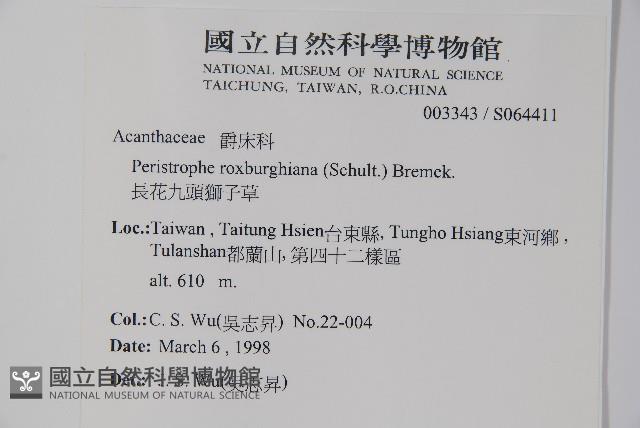 長花九頭獅子草、山藍藏品圖，第2張