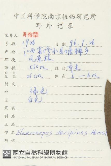 杜英藏品圖，第2張