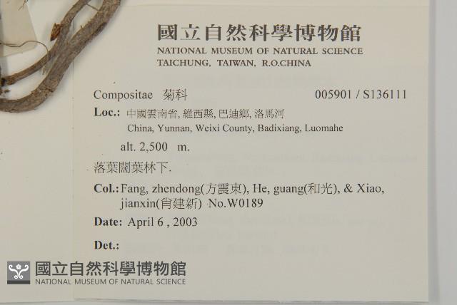 登錄號:S136111藏品圖，第2張