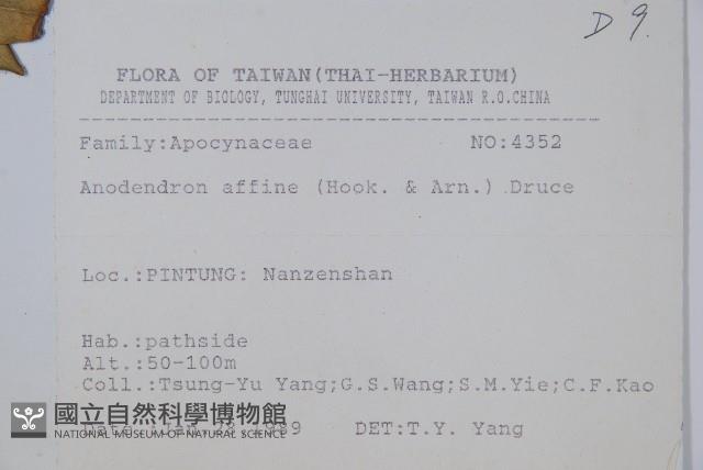 Asian cable creeper Collection Image, Figure 2, Total 2 Figures