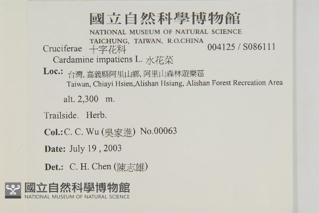 Accession Number:S086111 Collection Image, Figure 2, Total 2 Figures