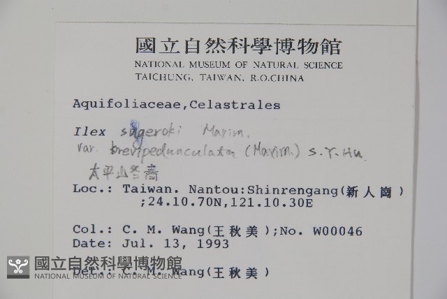 太平山冬青藏品圖，第2張