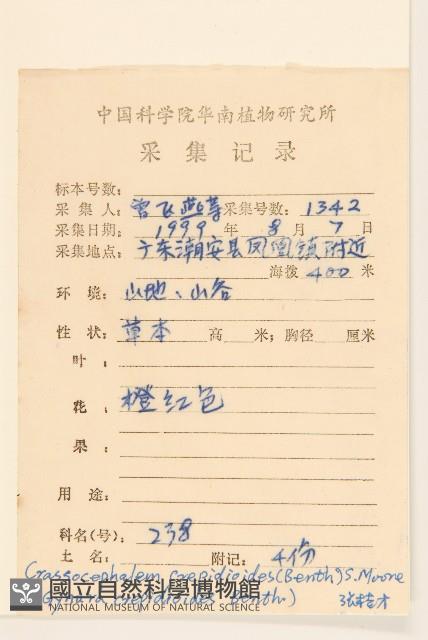 野茼蒿藏品圖，第2張