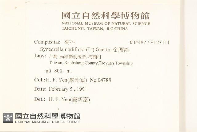 金腰箭藏品圖，第2張