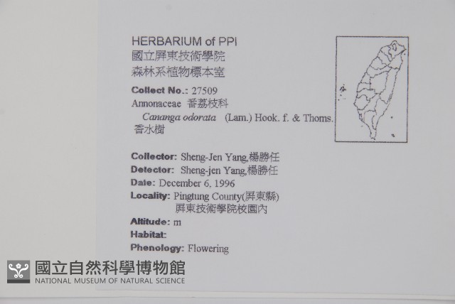 香水樹藏品圖，第2張