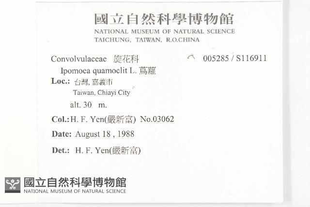 蔦蘿藏品圖，第2張