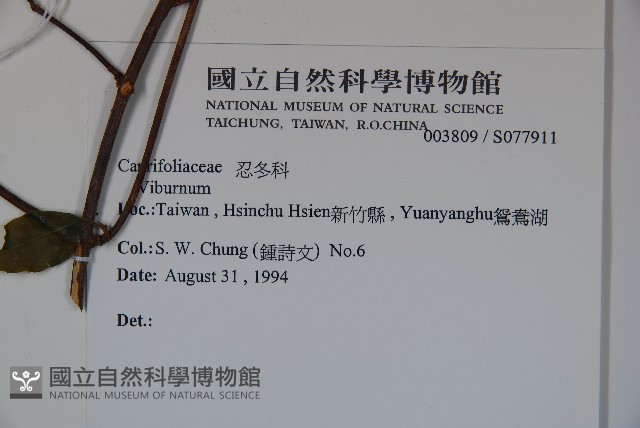 登錄號:S077911藏品圖，第2張