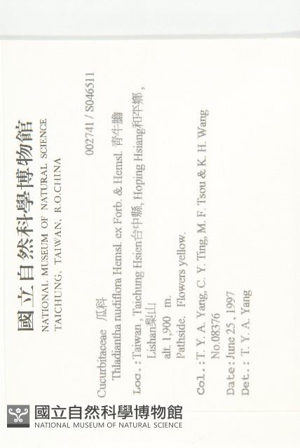 青牛膽藏品圖，第2張