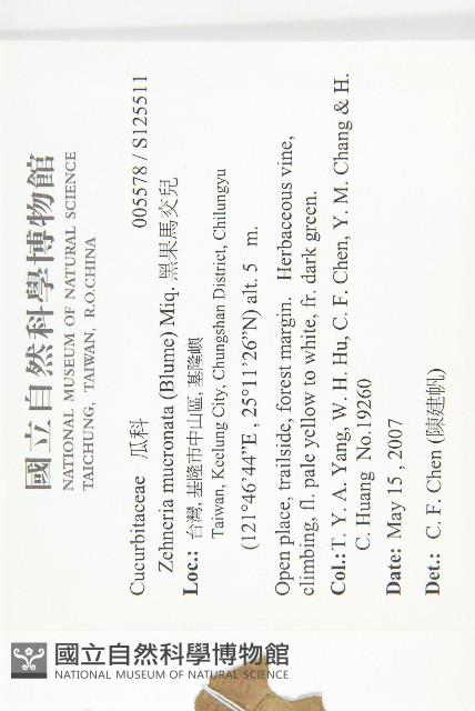 黑果馬交兒藏品圖，第2張