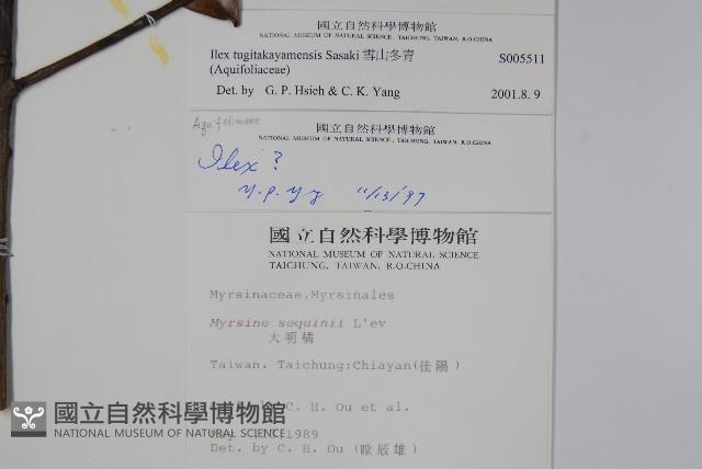 雪山冬青藏品圖，第2張