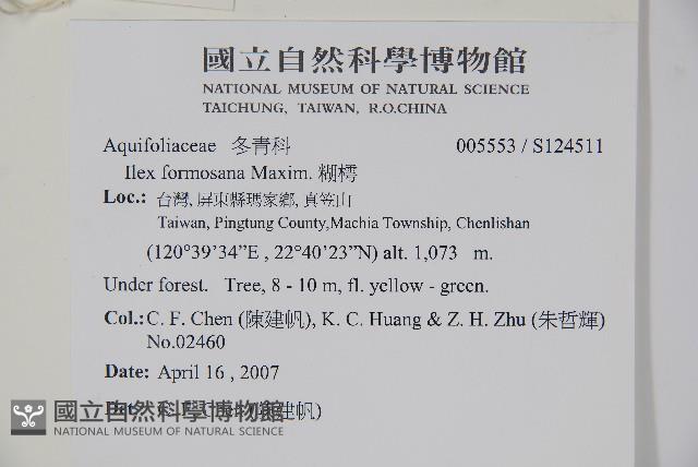 糊樗藏品圖，第2張