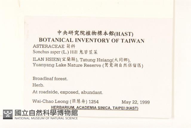 鬼苦苣菜藏品圖，第2張