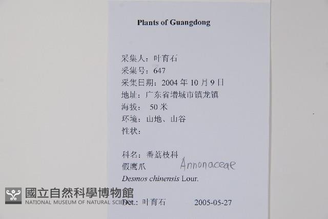 假鷹爪藏品圖，第2張