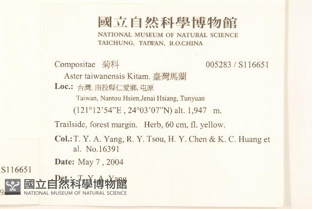 黃菀藏品圖，第2張