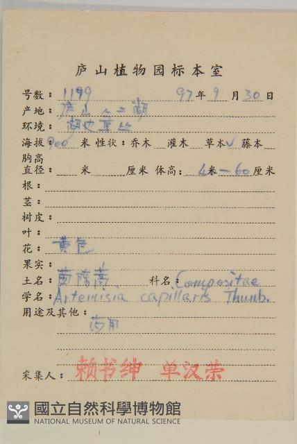 茵蔯蒿藏品圖，第2張