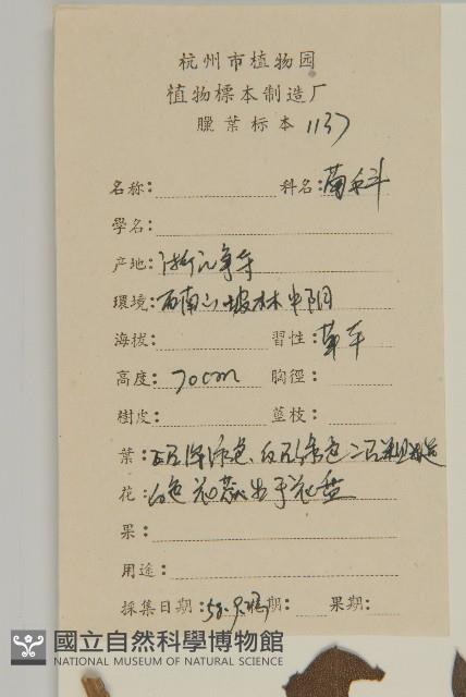 山白蘭藏品圖，第2張